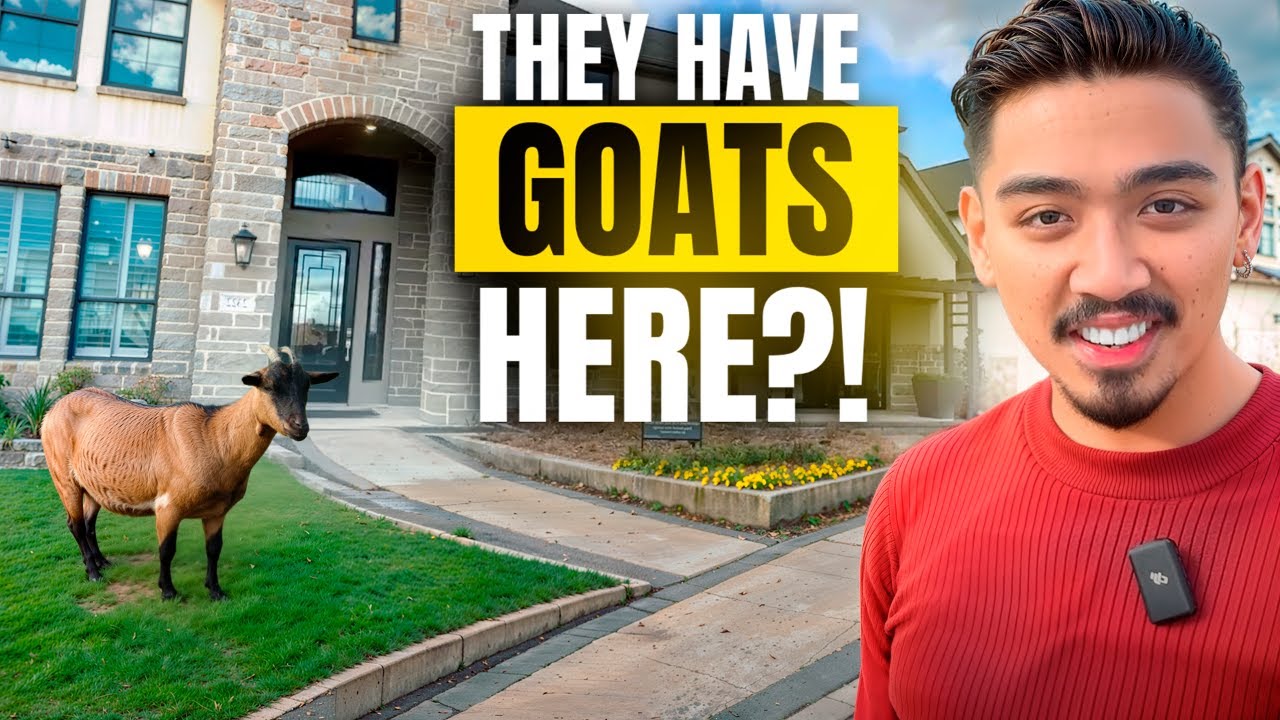 Affordable Luxury in Houston Suburb Paradise! (Harvest Green Richmond)
