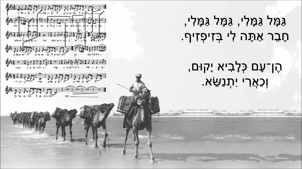שיר עד - שיר הגמל | מילים ולחן: ידידיה אדמון | שירה: נעמי צורי ומקהלת קול ציון לגולה, ?195