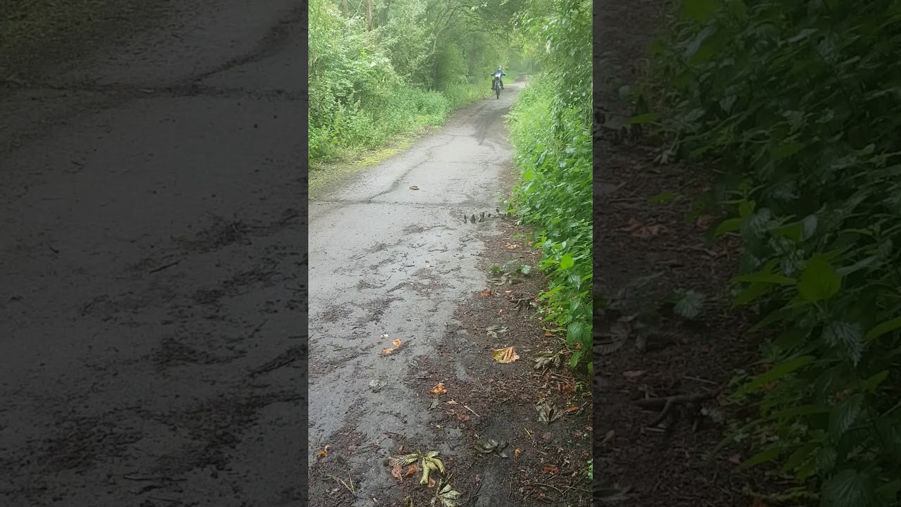 Pit bike Yx140/cw140r z40 cam wheelies and ride