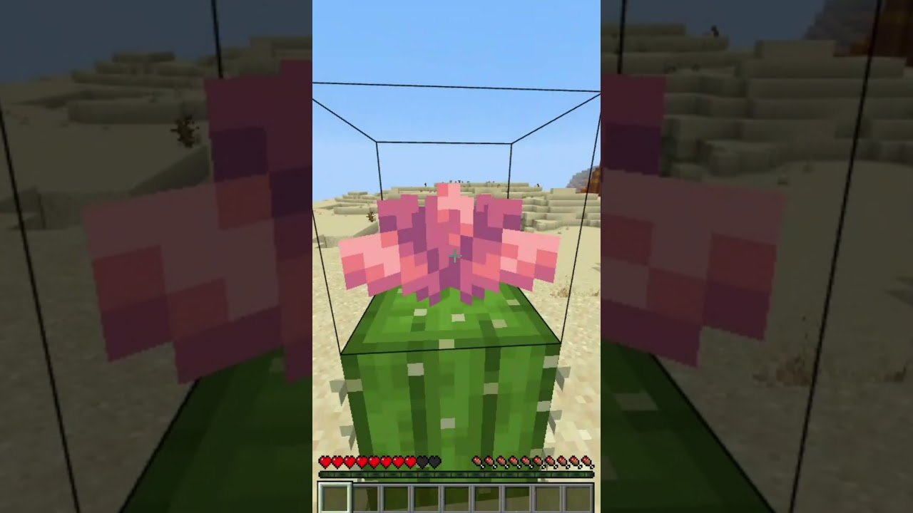 How To Get Every Flower In Minecraft