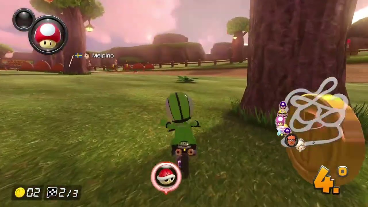 Getting Mario Karted for being a Mii enjoyer