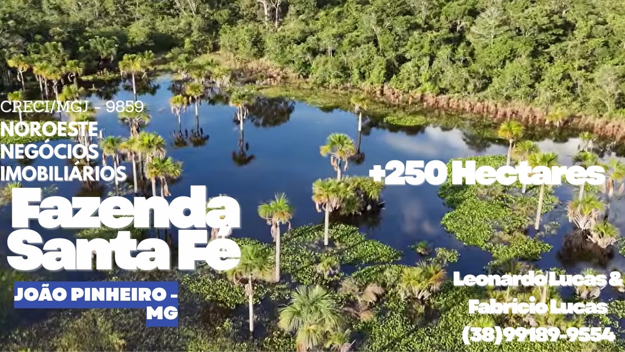 FAZENDA À VENDA - JOÃO PINHEIRO/MG | 253 Hectares | Pecuária e Agricultura | Fazenda Santa Fé