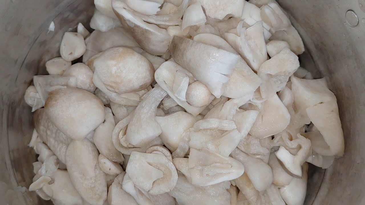 Puasa pertama kemaren Masak pindang lagi tapi x ini pindang jamur sawit