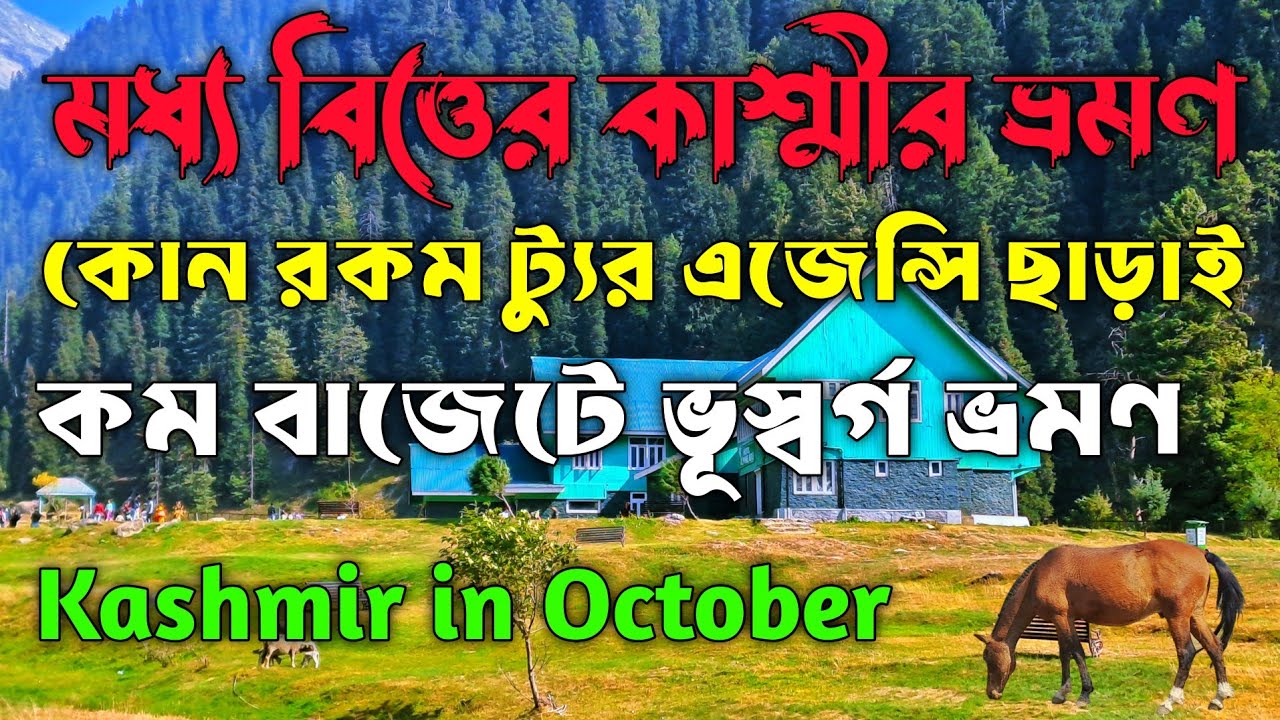 মধ্যবিত্তের কাশ্মীর ভ্রমণ||Kashmir In October||কম বাজেটে ভূস্বর্গ ভ্রমণ||Kashmir Tour Plan||Kashmir