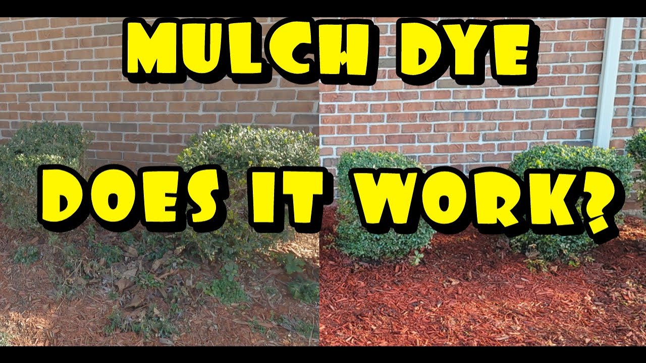 Does MULCH DYE work?