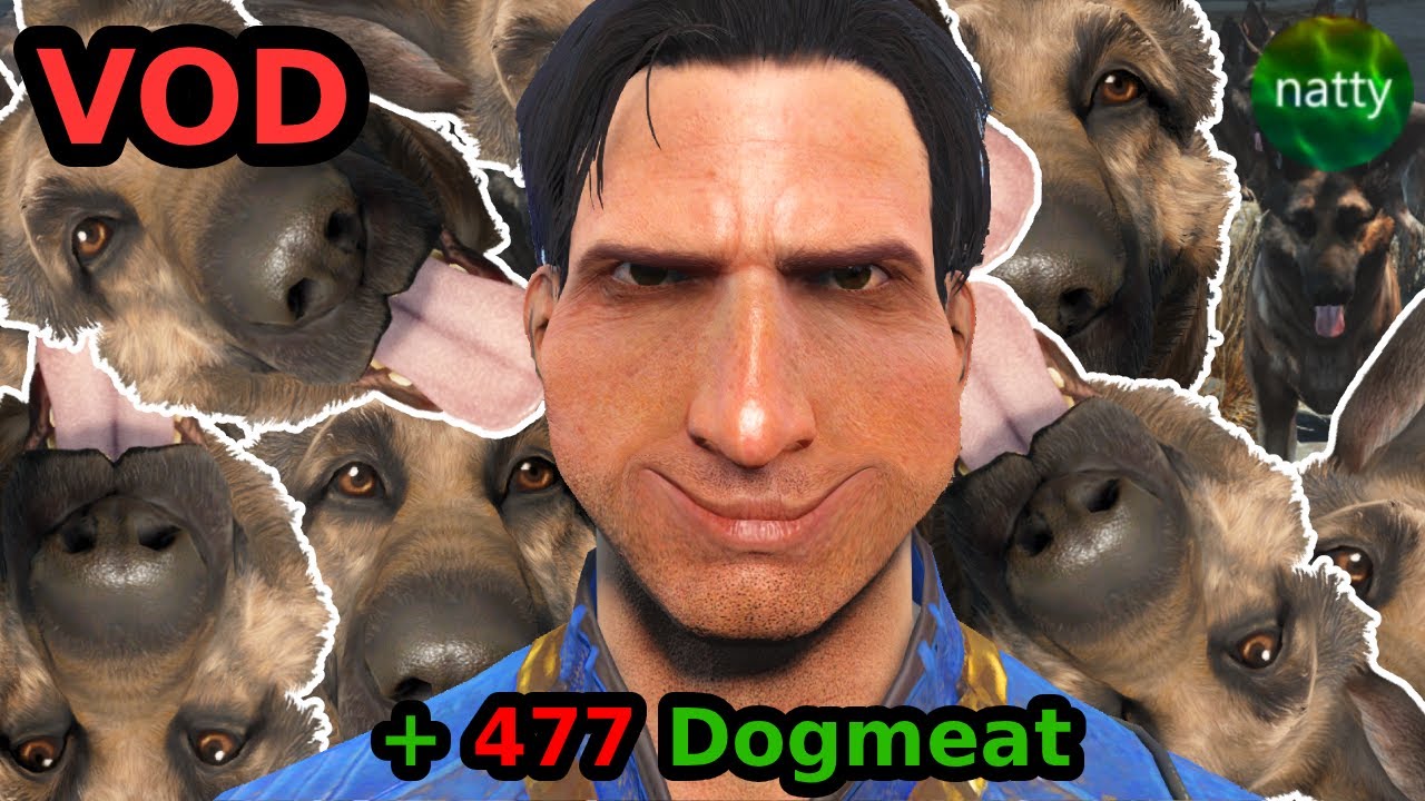 What if Every Kill Spawned Dogmeat in Fallout 4?