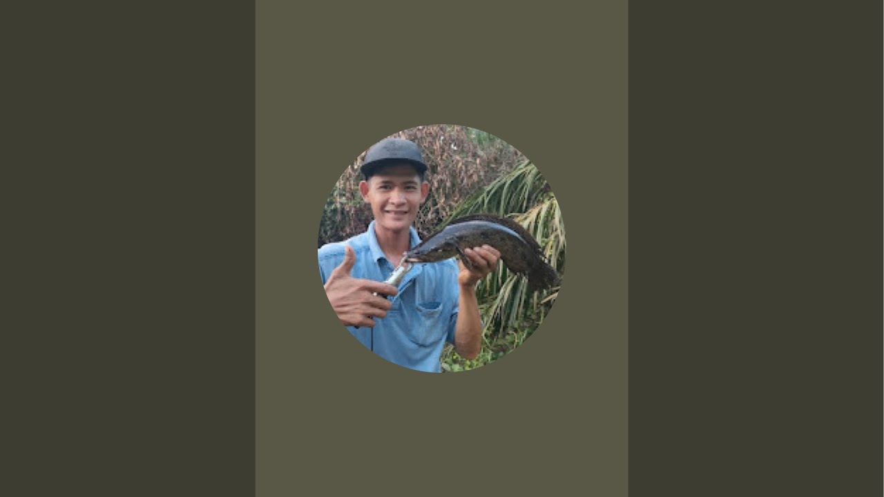Berpetualangan Memancing ikan gabus kihung,gabus Toman,ikan lembat dan ikan apa saja langsung masak