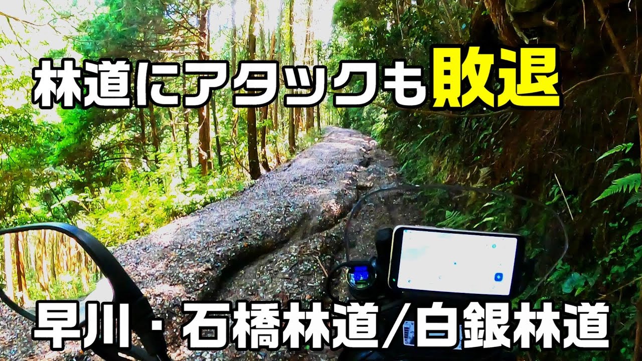 神奈川林道「林道にアタックも敗退」早川・石橋林道 / 白銀林道【CRF250 RALLY】