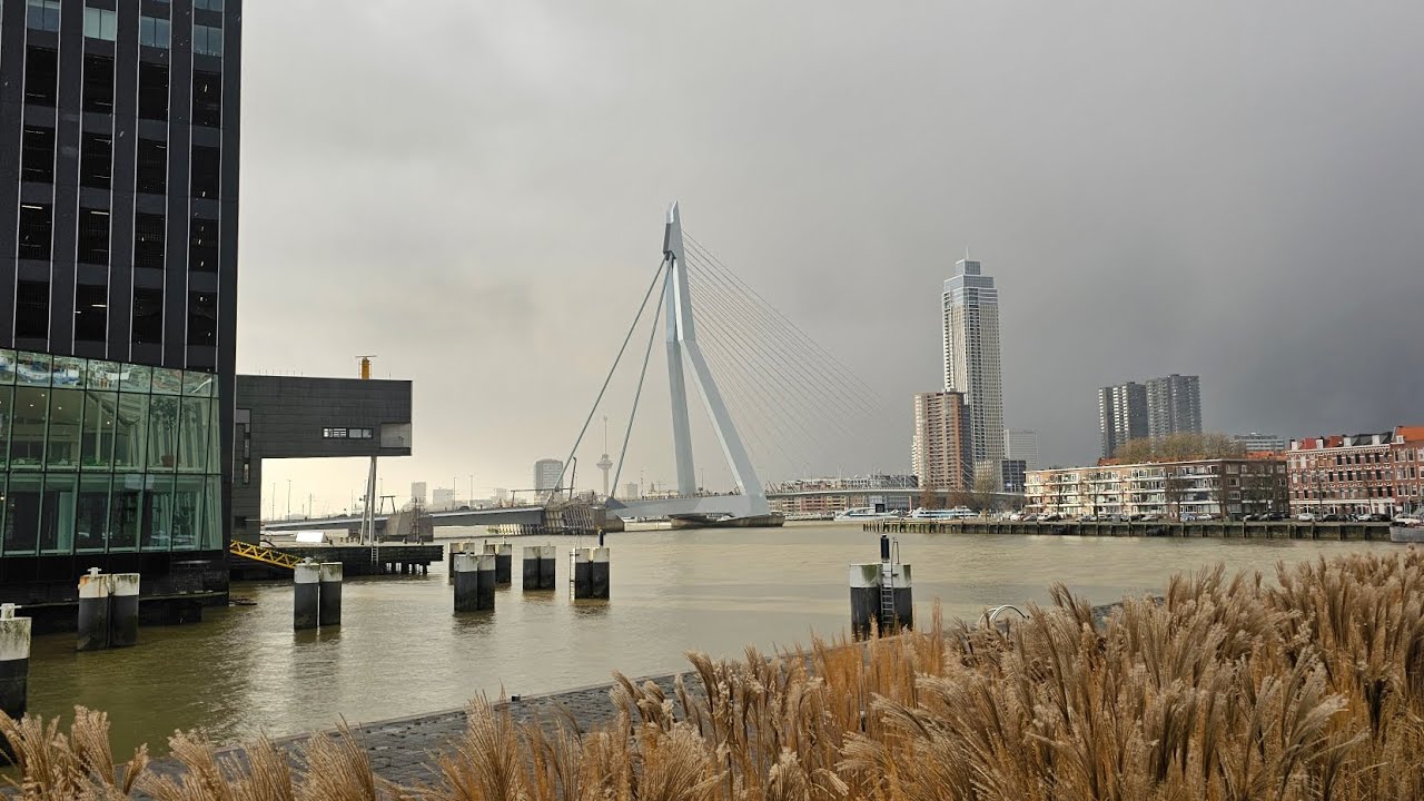 Rotterdam erleben und Hook van Holland erkunden