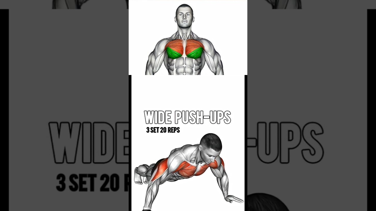 5 set chest best exercises 