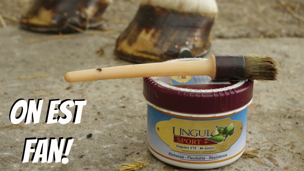 REVUE⎟ Les produits Ungula Naturalis 🌿