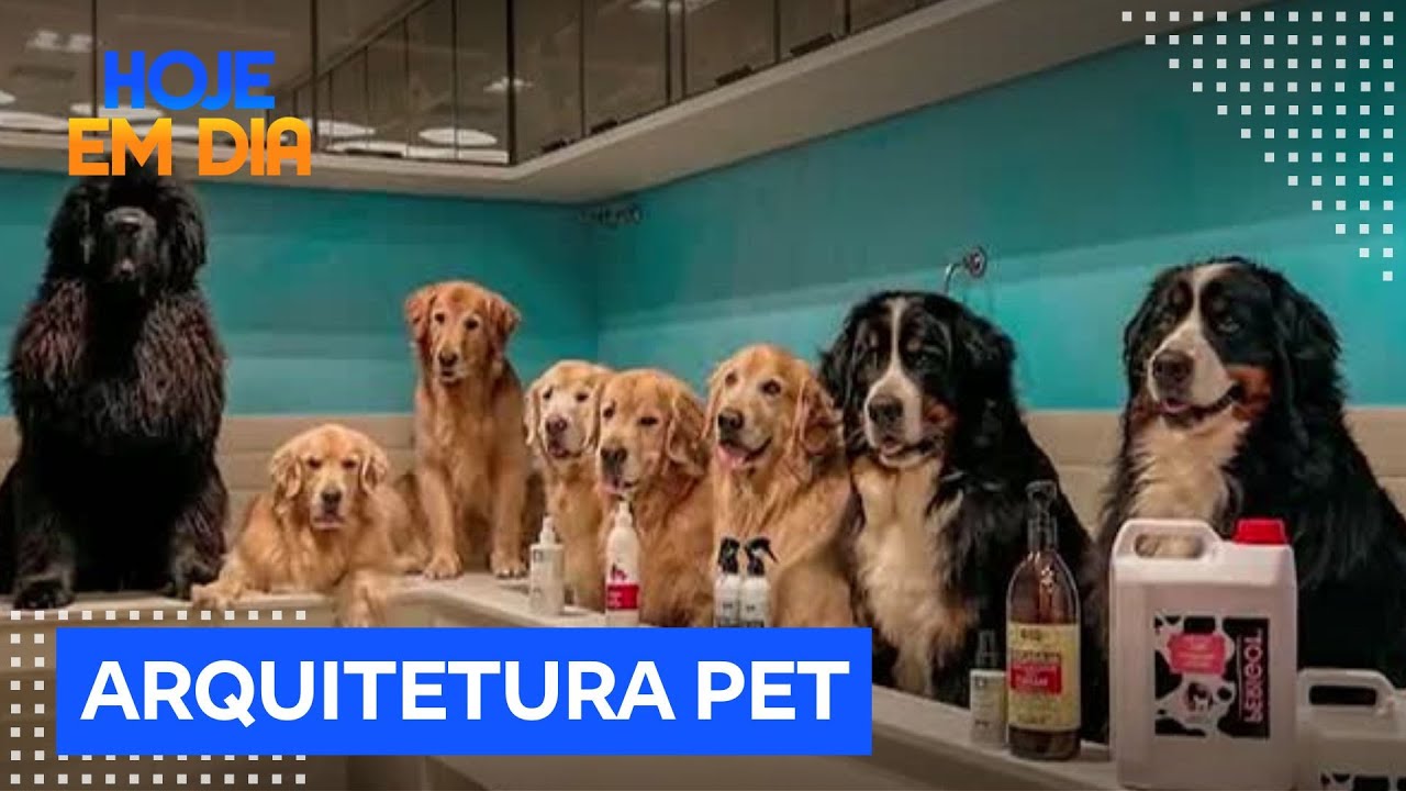 Ambientes adaptados para animais de estima&ccedil;&atilde;o crescem em condom&iacute;nios de SP