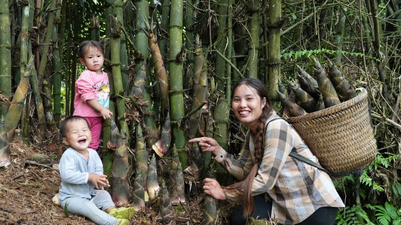 Pick giant bamboo shoots with your child to sell at the market - boil water for your child's bath