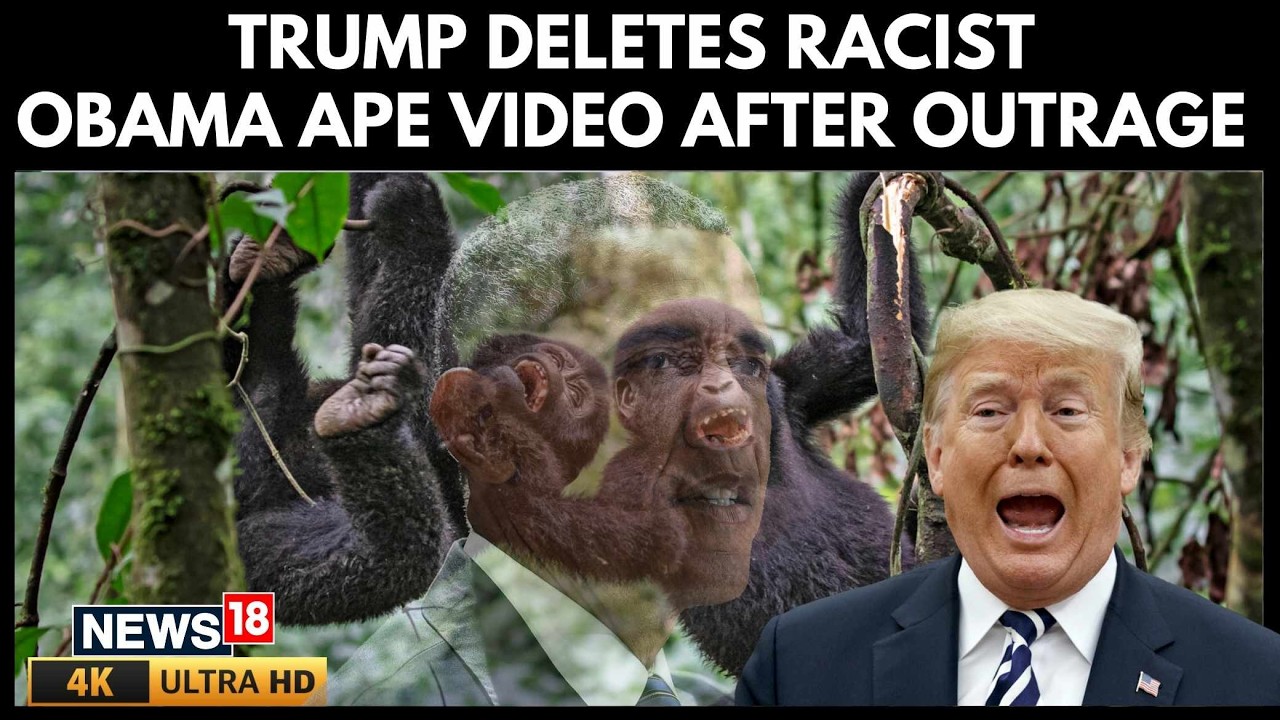 Trump Removes Video Depicting Obamas as Apes After Racism Backlash | Trump Obama Video | 4K | N18G