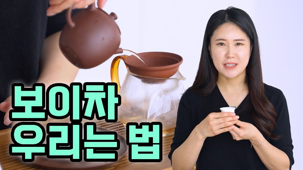 보이차를 우리는 2가지 방법 (개완, 자사호)/ 보이차마시기 / 보이차 왕초보 탈출!