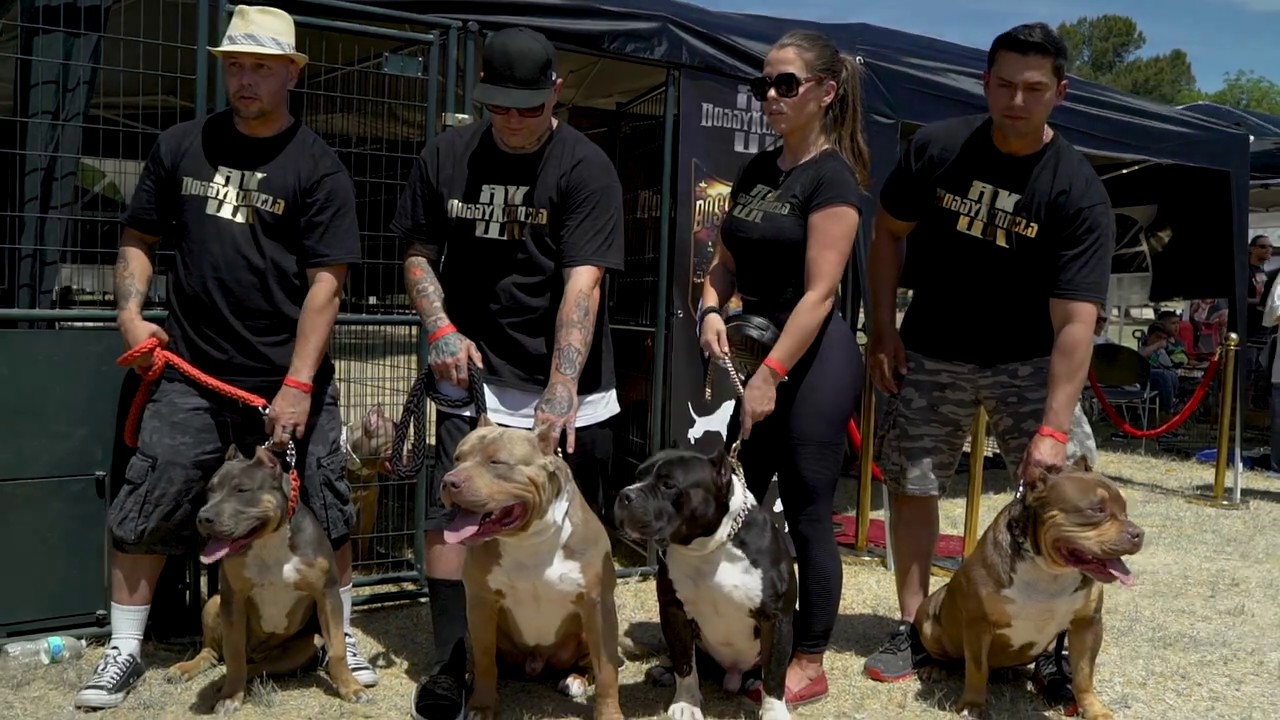 Bossy Kennels Perris Event