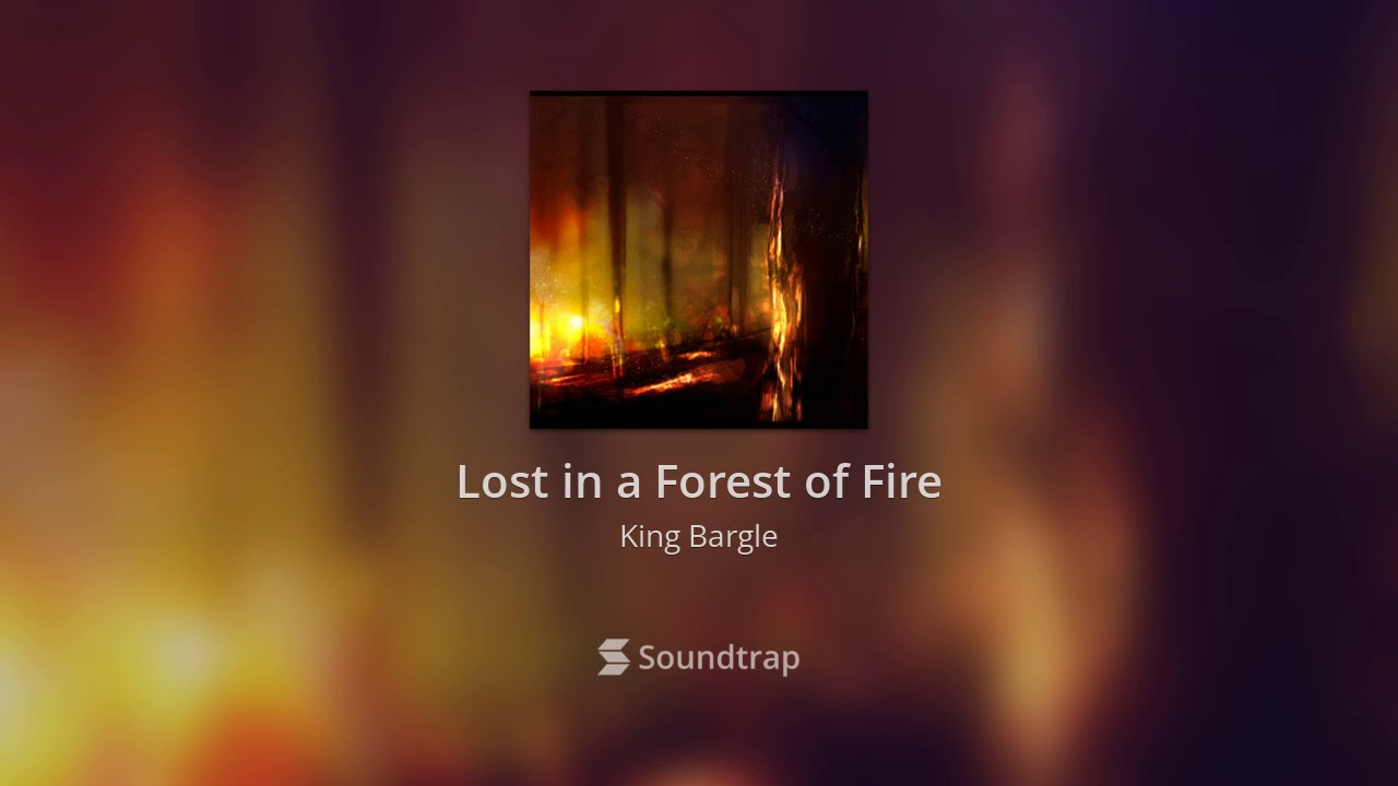 Lost in a Forest of Fire - King Bargle