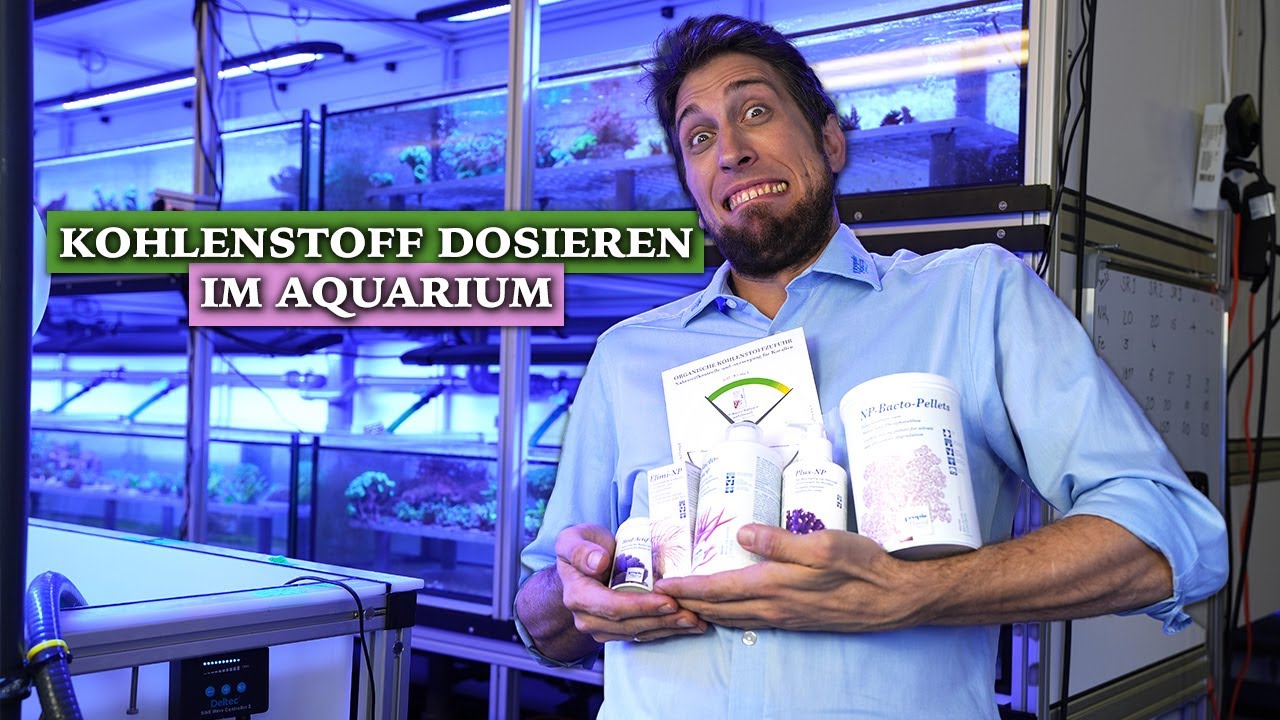 Kohlenstoff dosieren im MEERWASSERAQUARIUM - Was soll das bringen?