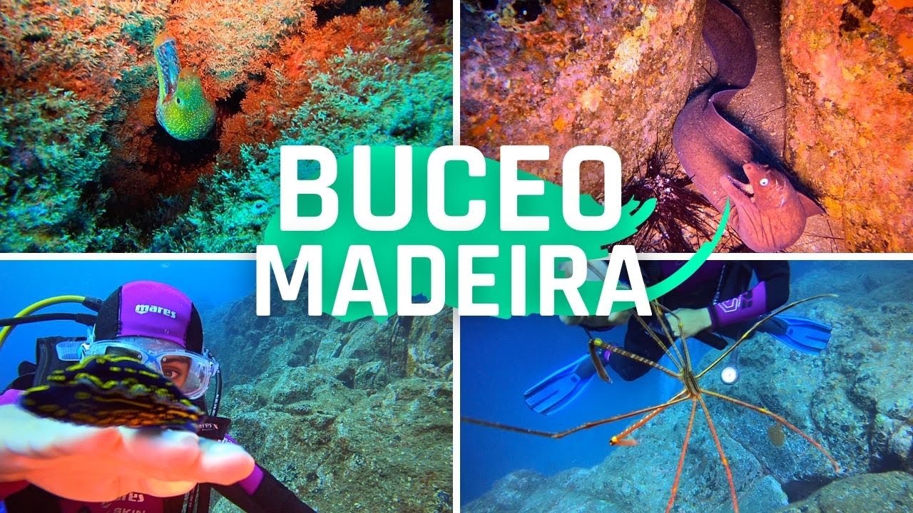 SUBMARINISMO en MADEIRA 2022 | Sorpresas debajo del Mar