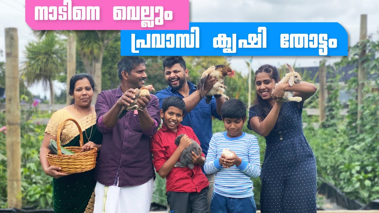 New Zealandile Kerala Adukkala Thottam | ന്യൂസിലൻഡിലെ കേരളം | Vegetable Garden