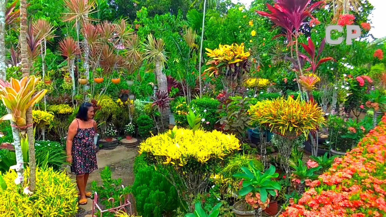 5 STUNNING GARDEN ALONG THE ROAD/PARTIDO/CAMARINES SUR 4K
