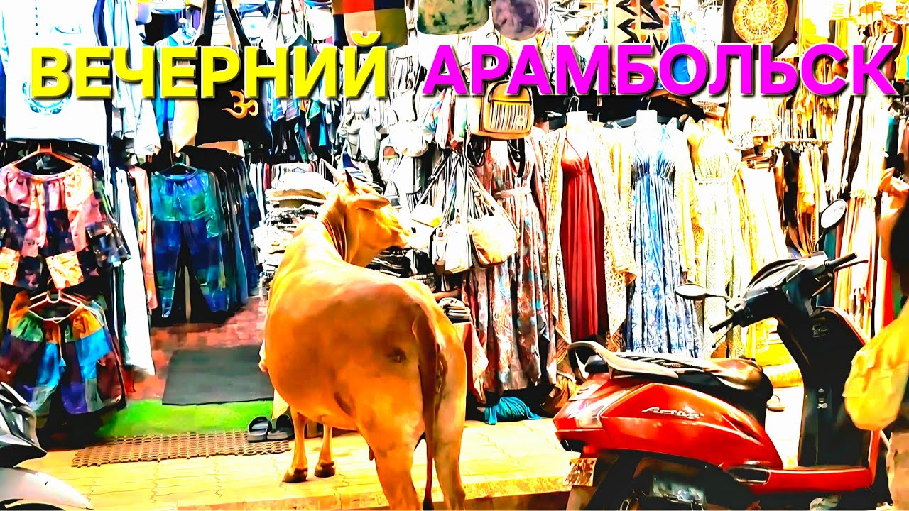 Гоа'26/ Тусы-джусы 🤏