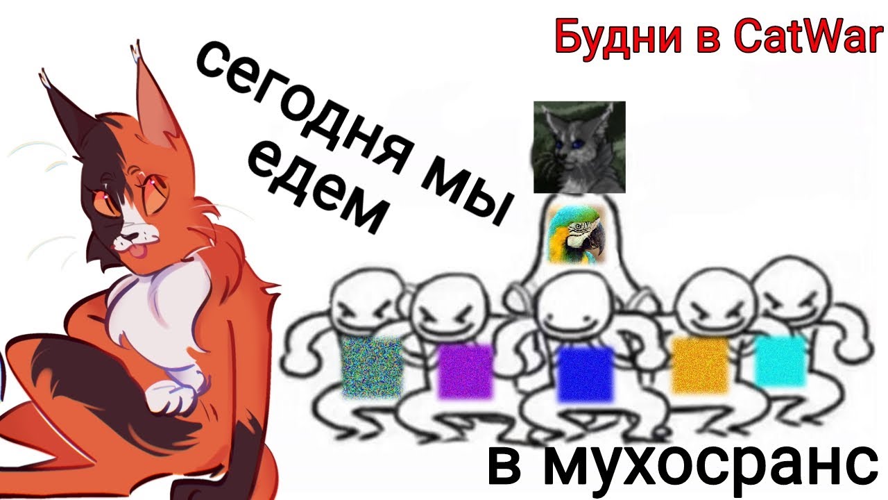 CatWar Будни/ Коротко о том как Сияние катала в племя Попугайчиков и по всей ОВ