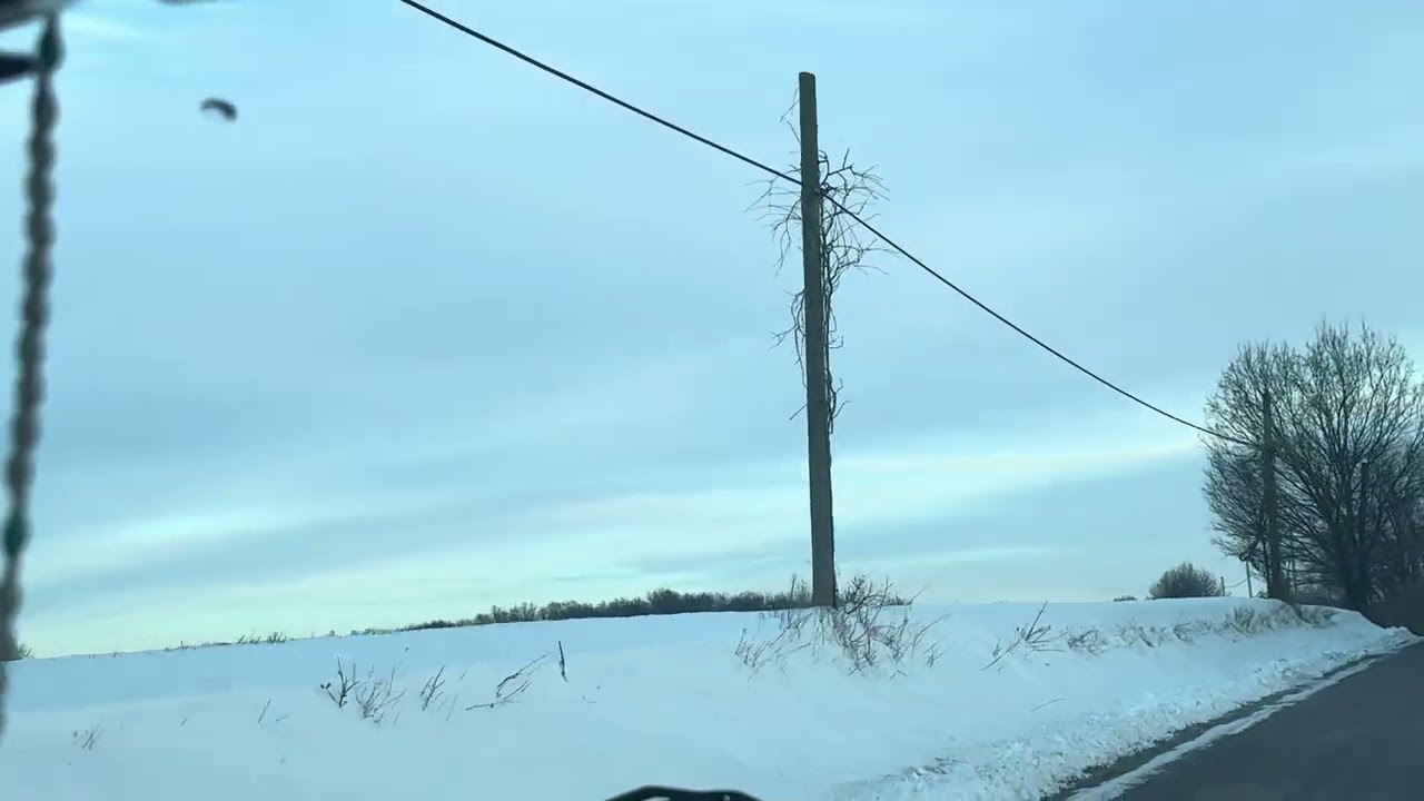 13 марта 2026 г.