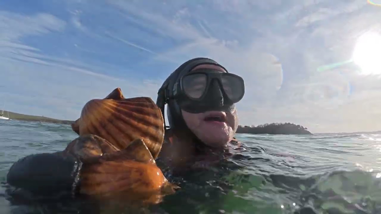 Sortie Coquilles et homard dans l'eau verte de la Rance, conditions pas simples, pêche sous marine 