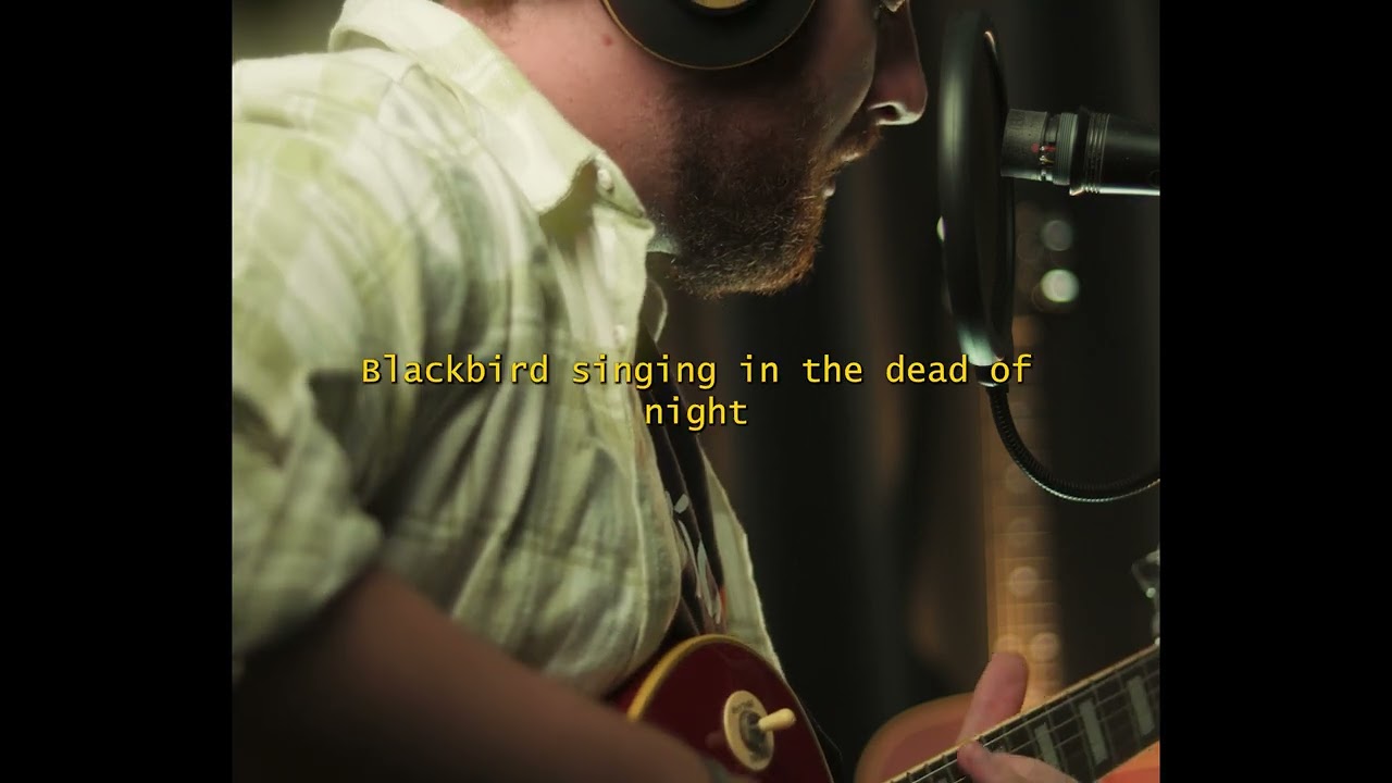 blackbird - The Beatles