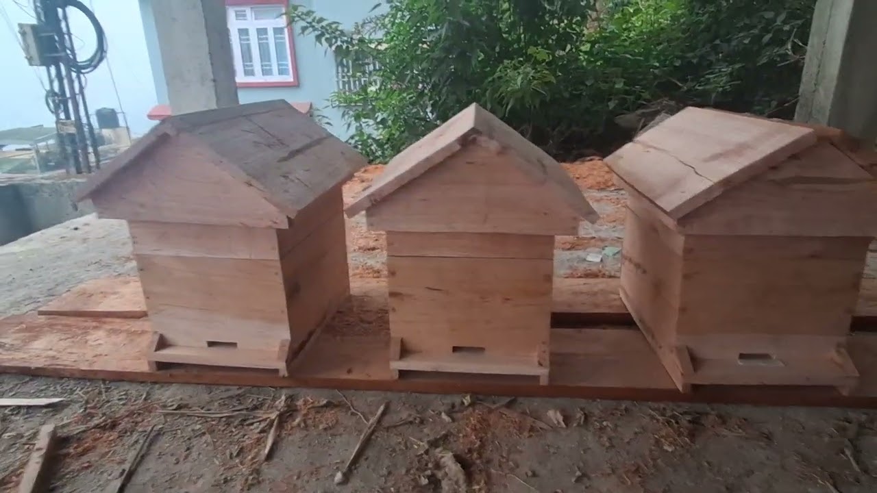 New Btipe box 