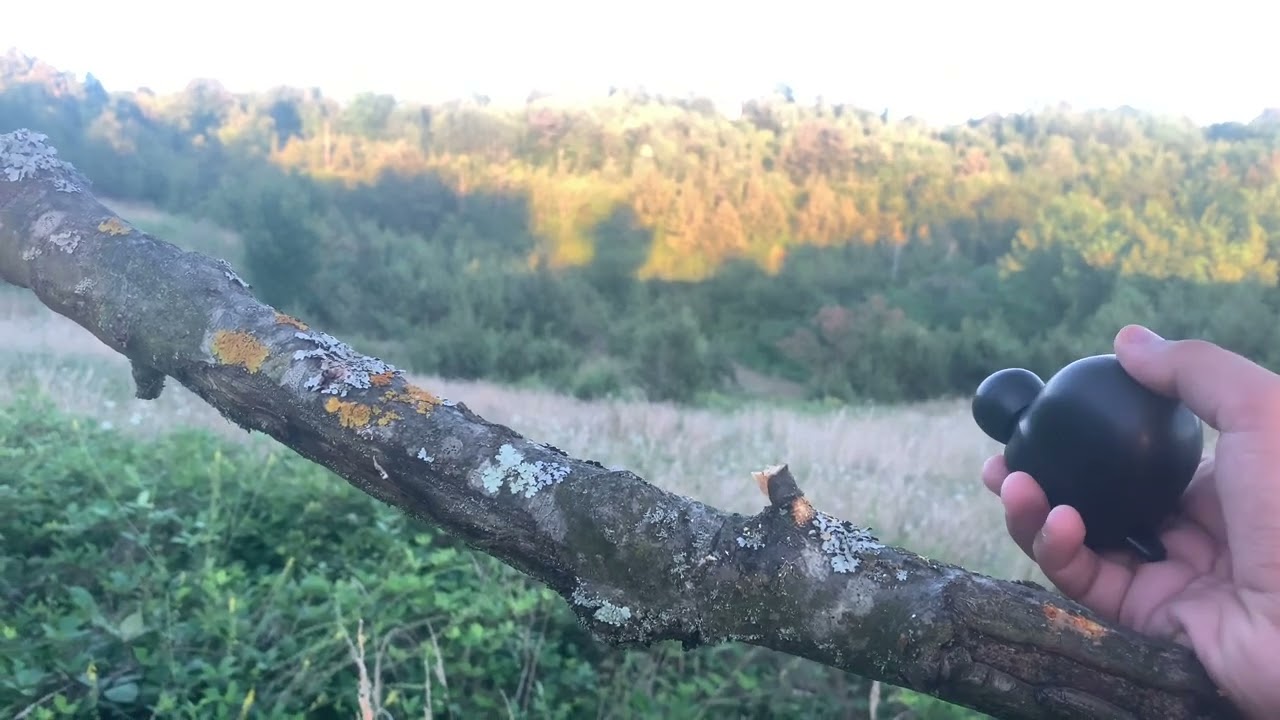 Butolo vabilica test
