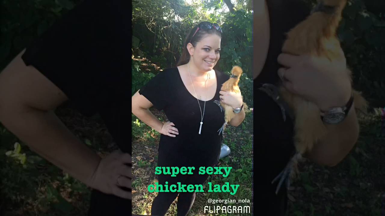 Chicken Diapers: How to Use a Surgical Mask