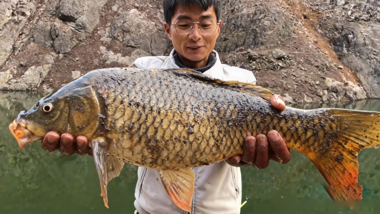 探钓深山水库，翻山越岭徒步一个多小时，下杆就上鱼，狂钓十条百斤大鱼！