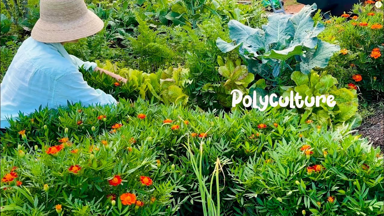 7 Perennial Flowers You Should Be Growing in Your Vegetable Garden