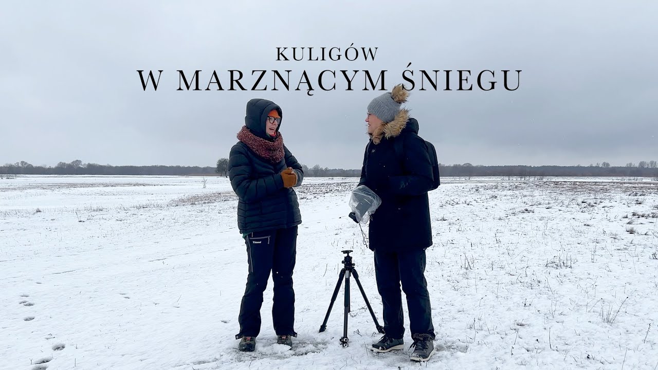 Kuligów – Bug w padającym śniegu i przejmującym wietrze