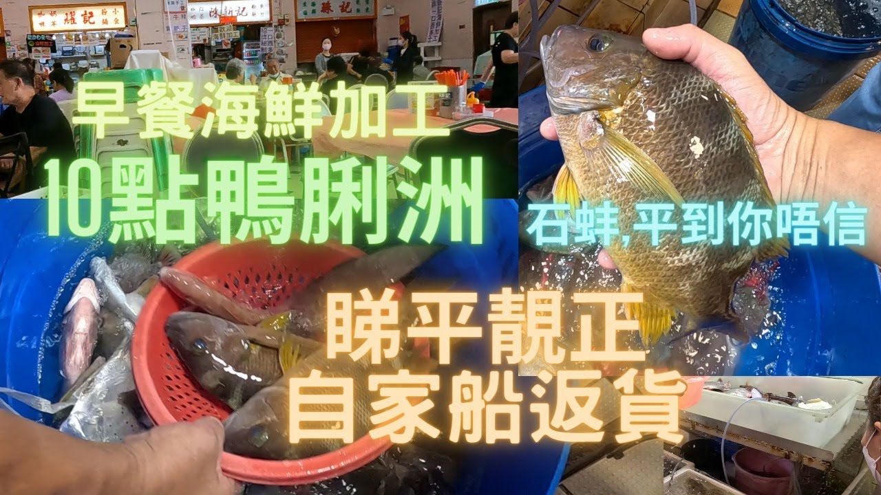 10點鴨脷州睇自家魚船返貨😍好多街坊一齊尋寶🤣原來鴨脷洲都有平靚正🤩重要一早已經可以加工🤤即刻買條魚上去👍見到有人已經食緊海鮮大餐早餐🤣~fishcutting香港海鮮~社長遊街市Seafood