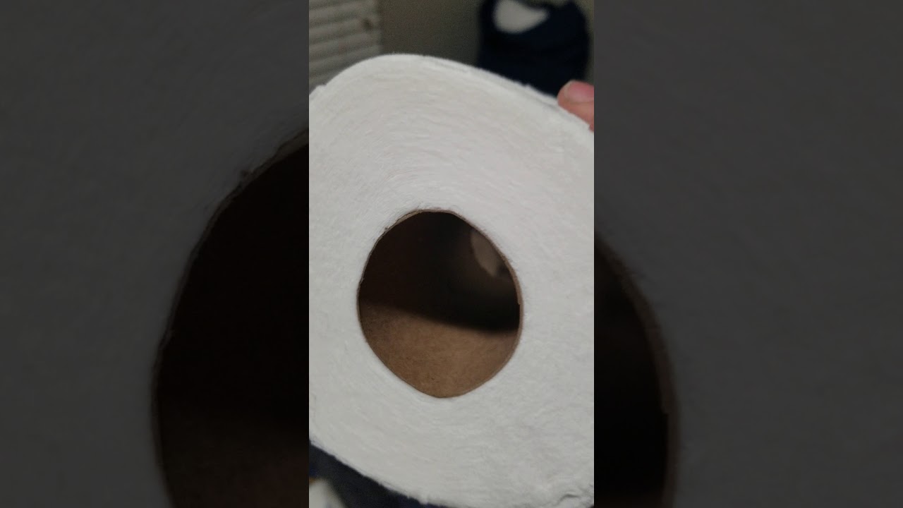 Charmin Ulta Soft Toilet Paper Review