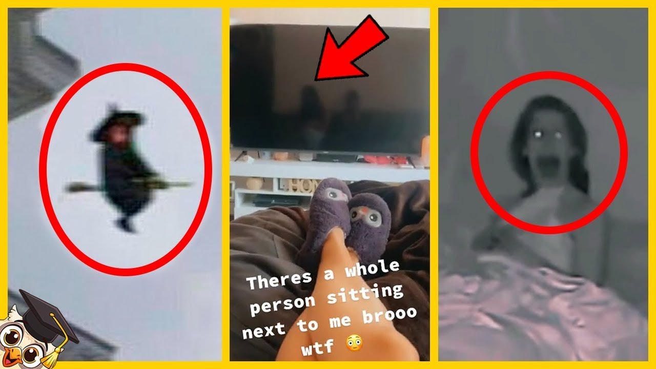 30 TikTok Videos Worth Watching Before They Get Banned
