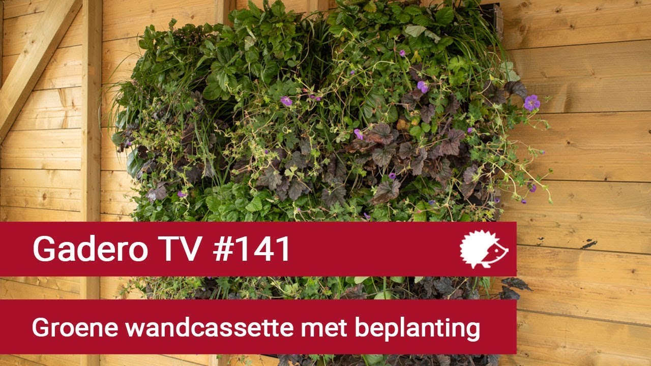 #141 Groene wandcassette met beplanting