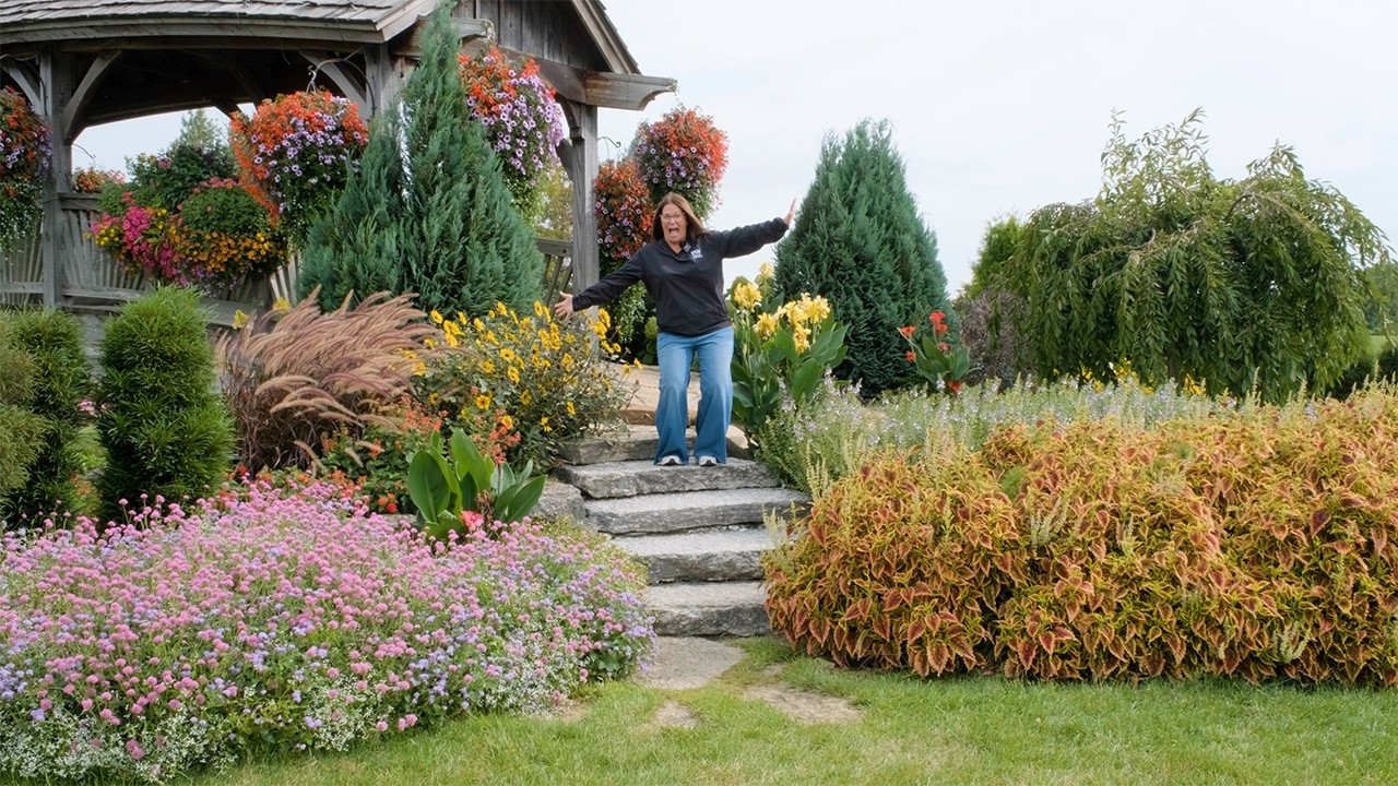 Plant Of The Day: September 1 - September 7 (Now 35% Off Proven Winners Plants)