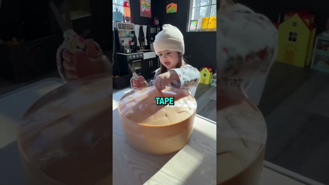 Toy Dumpling 🥟 @lauramcmillion