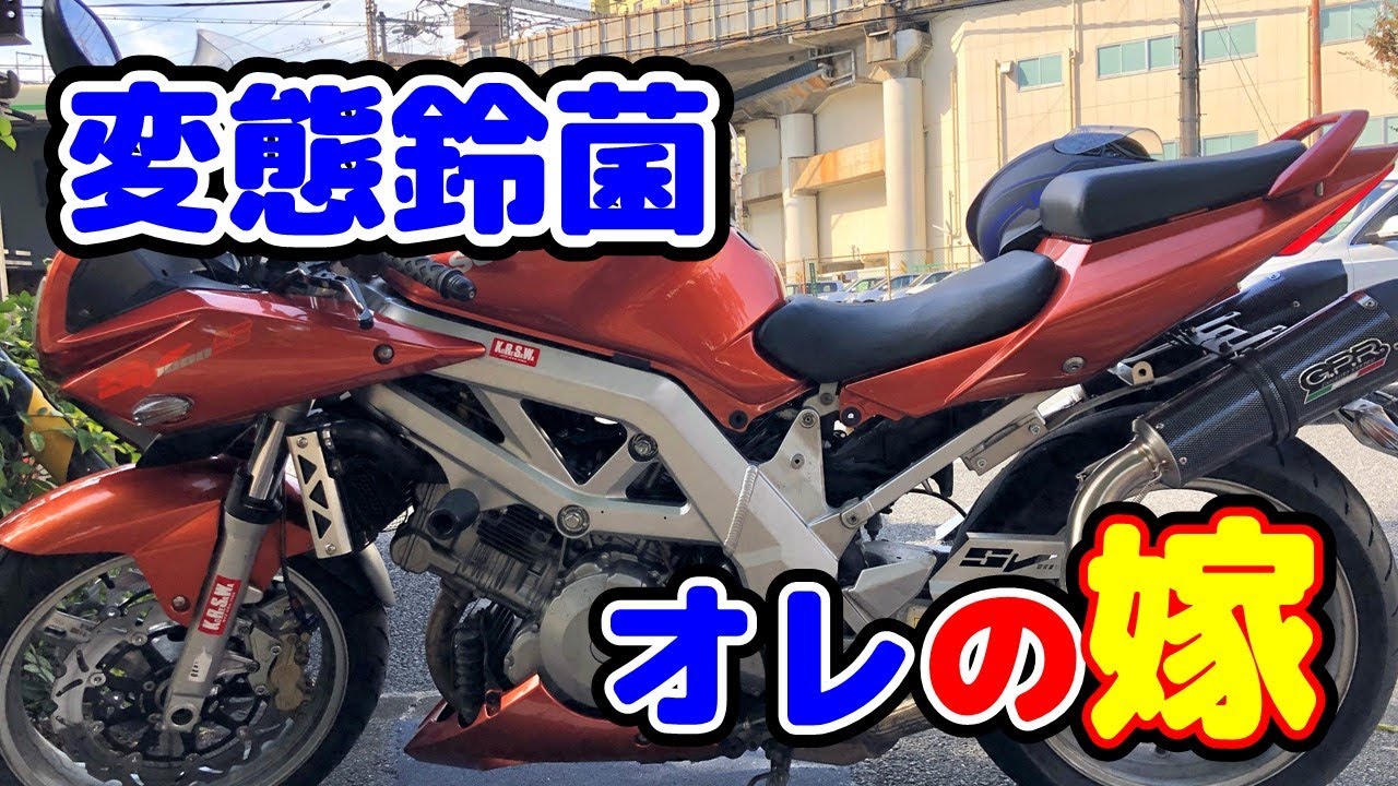 ヤフオク29万 変態鈴菌オレの嫁(超絶不人気大型バイク: SV1000S) by バイクはいいぞおじさん