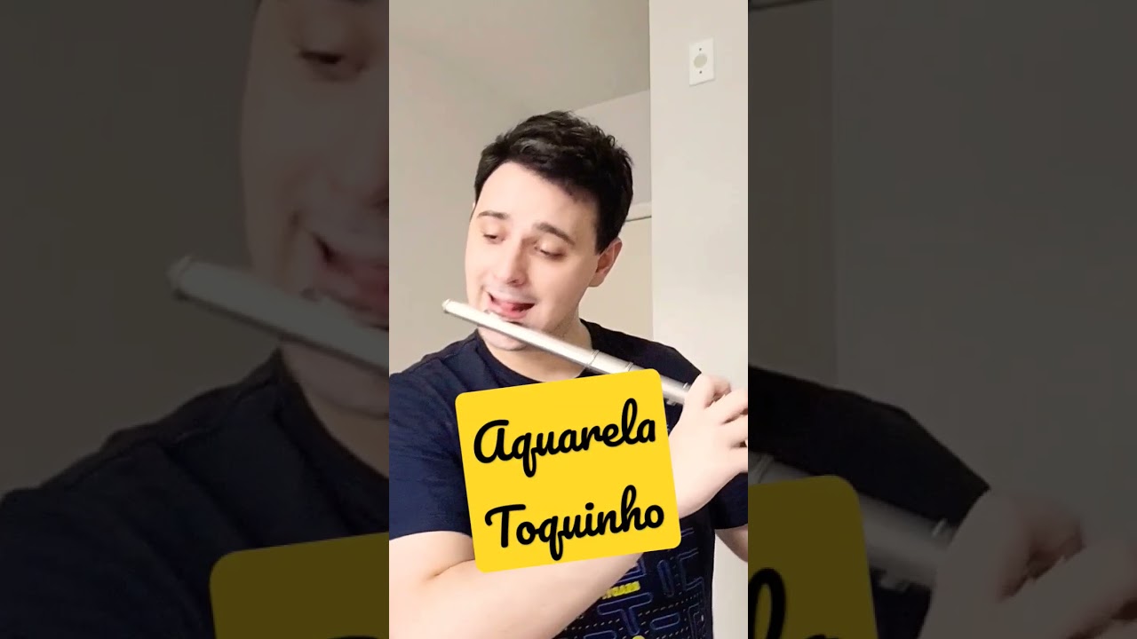 Aquarela|Toquinho(Flauta transversal)