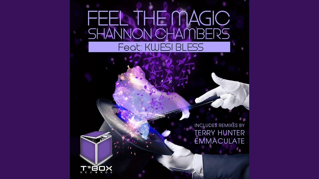 Feel The Magic (Shannon's 1 Sound Mix)