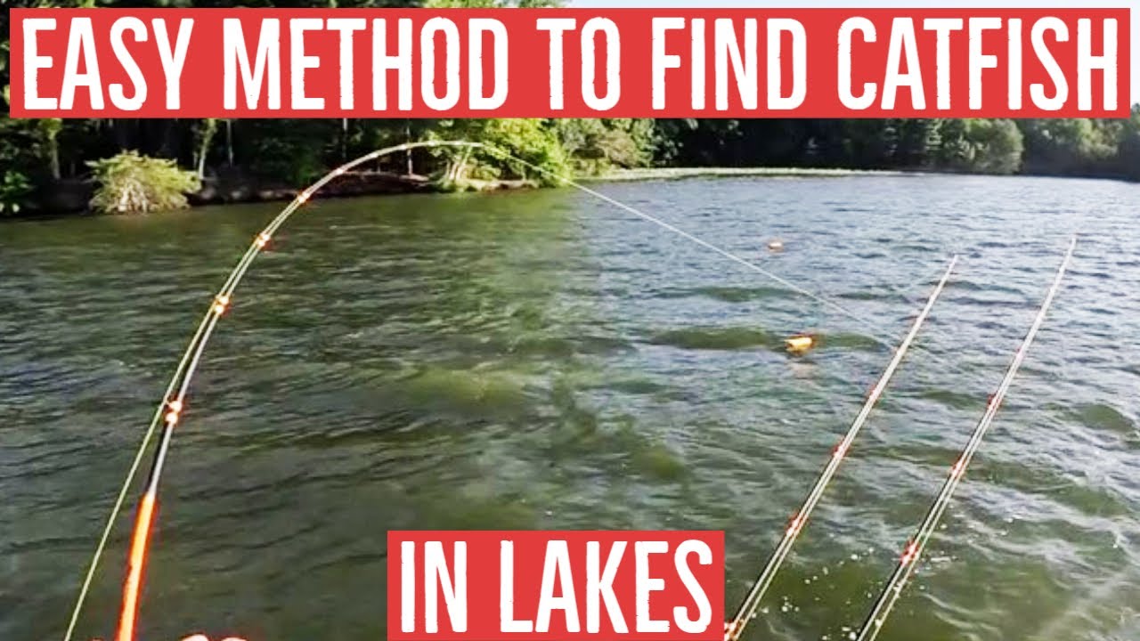 EASY Method to Find Catfish in a Lake