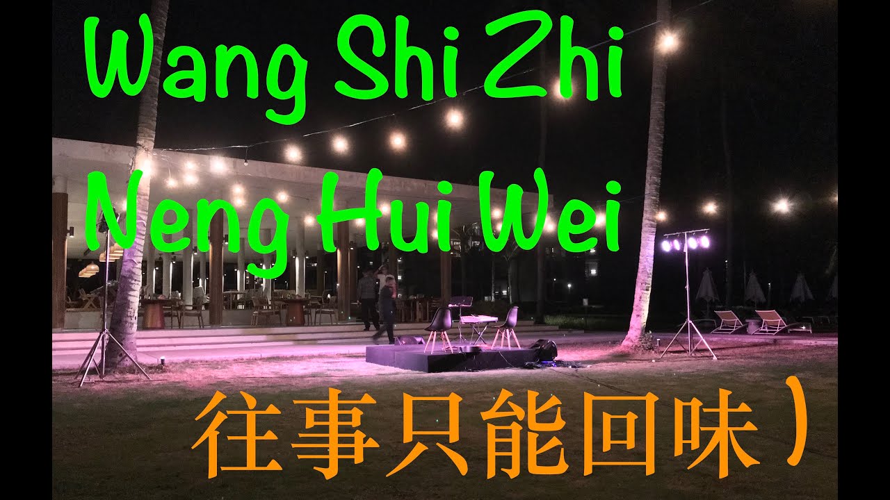 WANG SHI ZHI NENG HUI WEI || Cover by: LYA