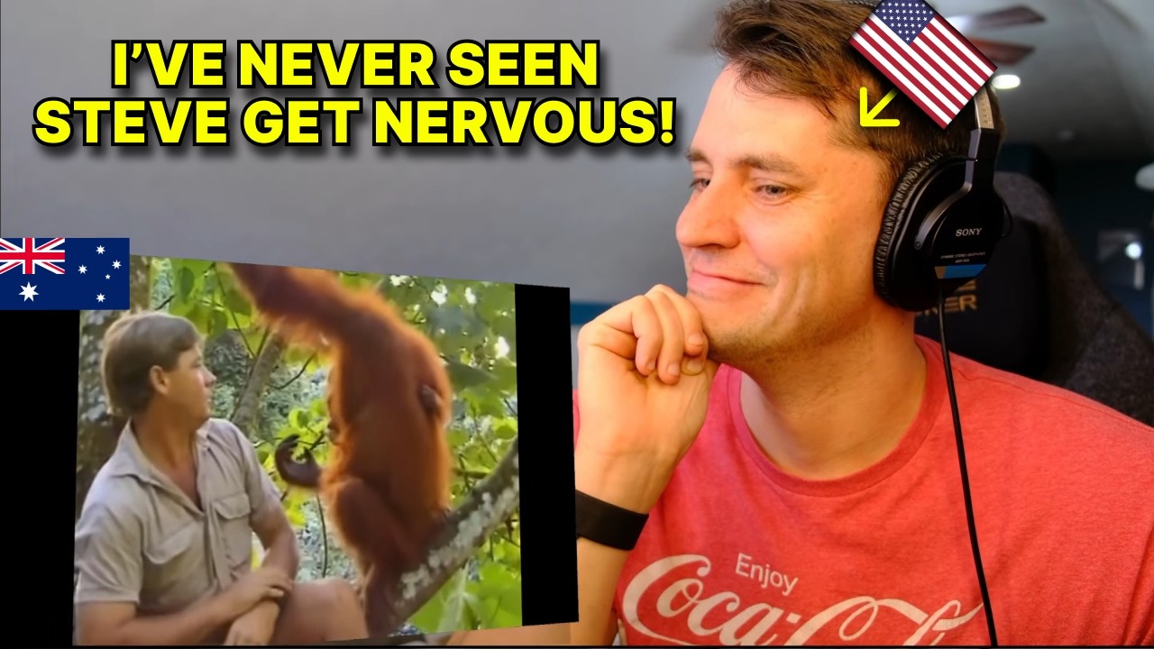 American reacts to INCREDIBLE Steve Irwin moment with Mother Orangutan