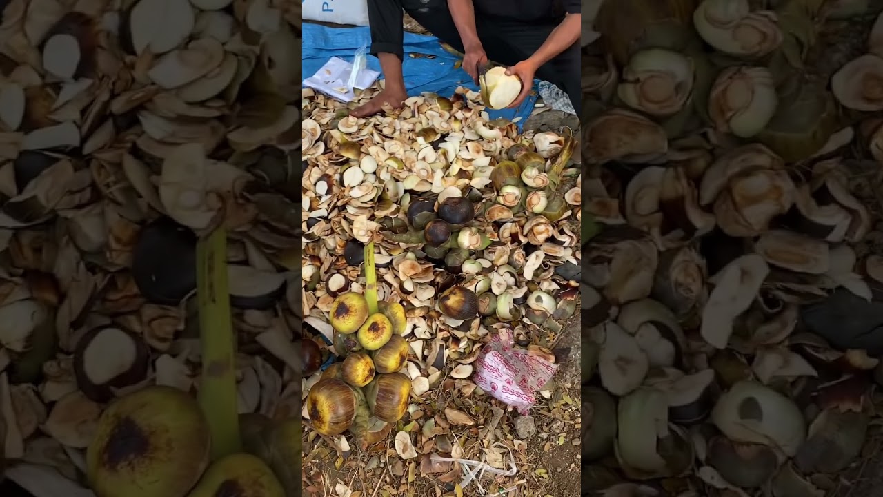 buah siwalan khas tuban atau buah lontar di pinggir jalan