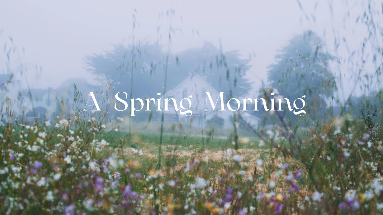 A Quiet Morning at home 🌱🐈🌼 (spring version)  | Background Instrumental